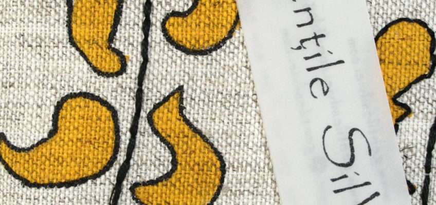Gențile Silviei – profil de artist