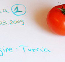 OMG – Organisme Modificate Genetic sau Oh, My God?!