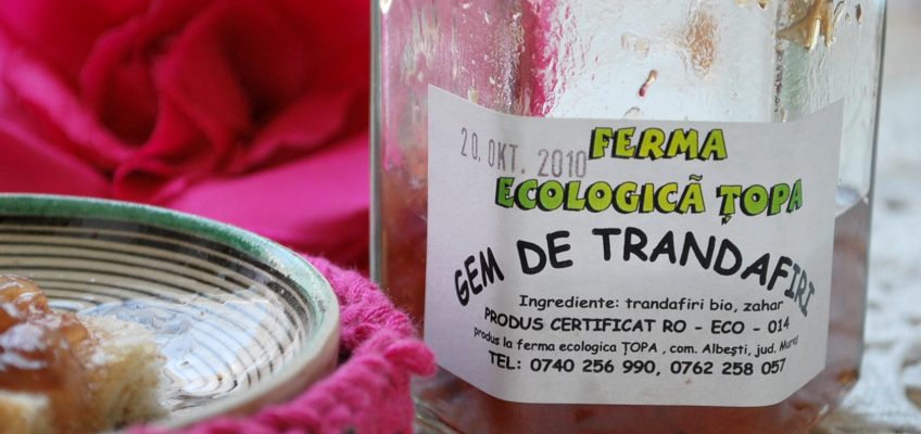 Aroma dulce de trandafiri