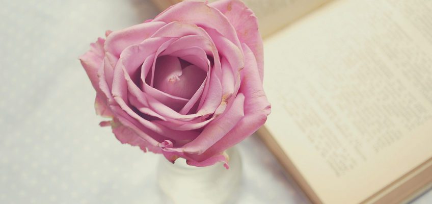 Mic îndreptar pentru îngijirea florilor din vază