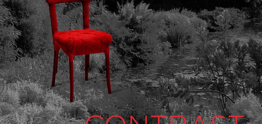 Dialog cu vizibilul: CONTRAST Stories in Contemporary Times