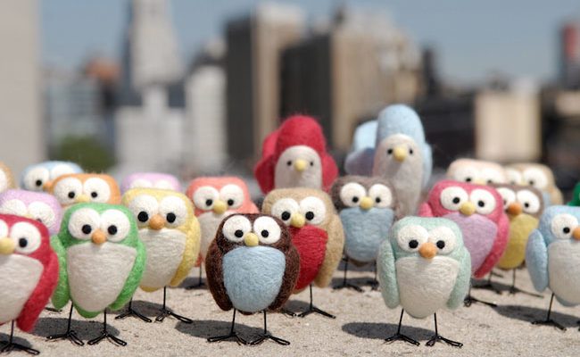 Everybody loves birds!