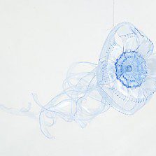 10 moduri de a refolosi sticlele din plastic