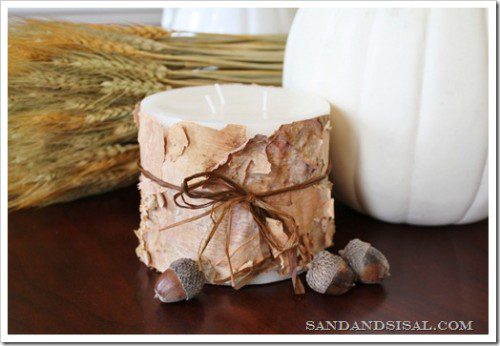 Birch Bark Candle by sandandsisal