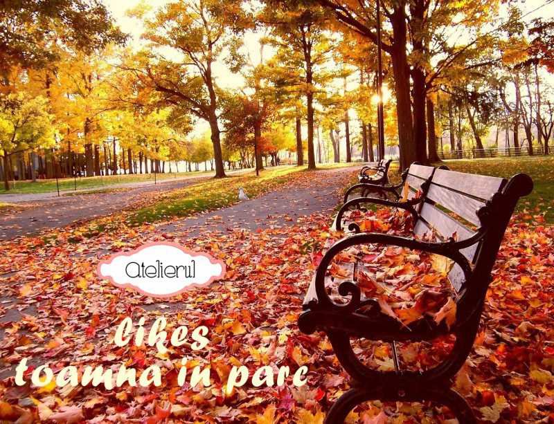 atelierul likes toamna in parc
