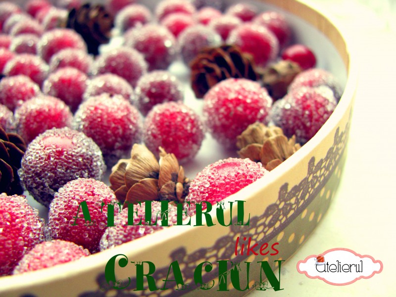 Craciun7