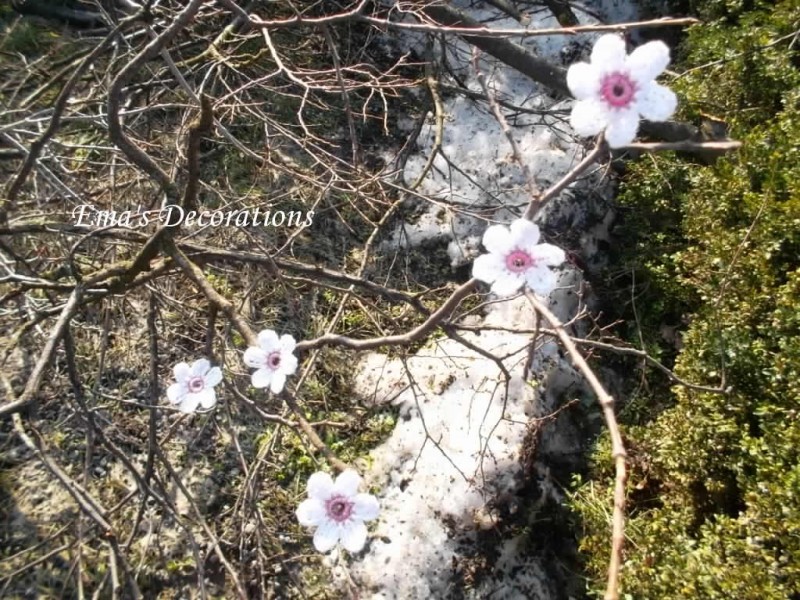 Flori de cires