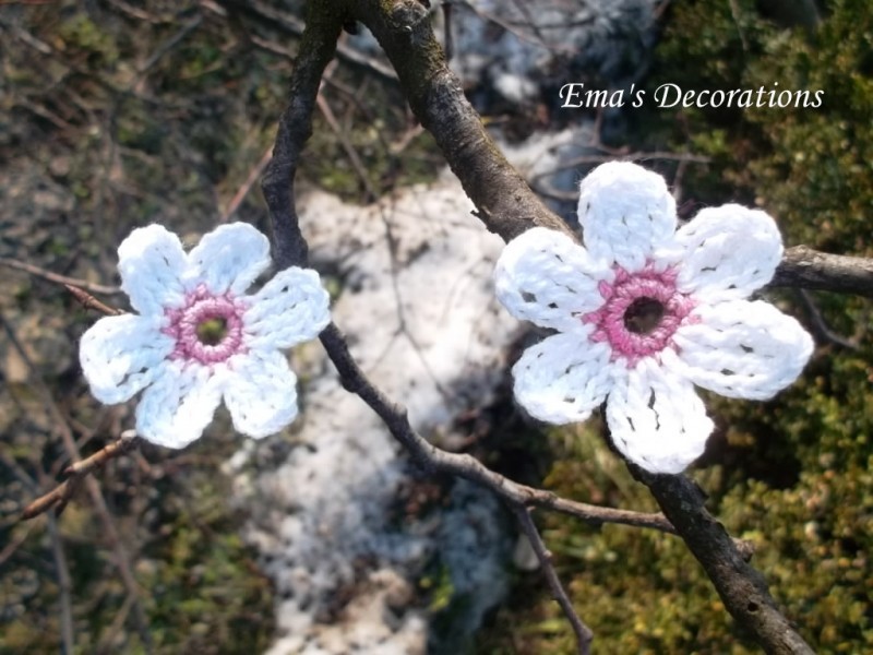 Flori de cires