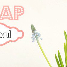 Swap de primăvară