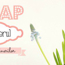 Swap de primăvară – lista partenerilor