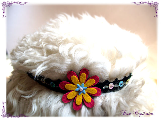 bentita-fp-copilarim-0009
