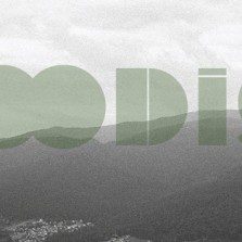 Woodish nu-i oricum!