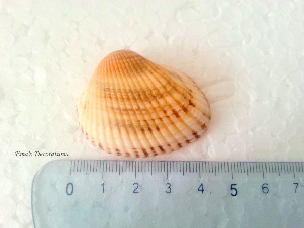 2014-07-03 14.40.26