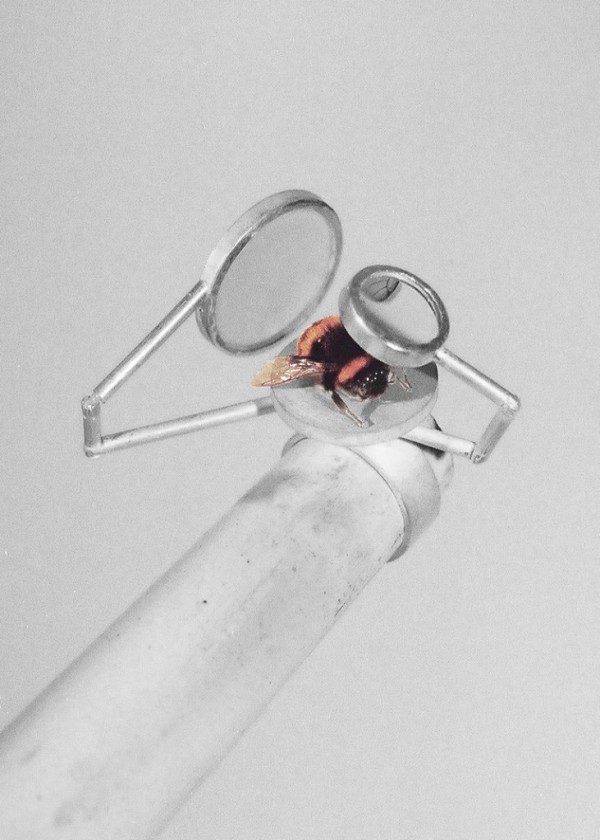 Observation-Ring16-731x1024