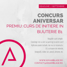 Concurs aniversar 4 ani Assamblage