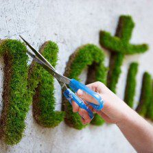 Acolo unde verdele răsare, acolo este pur și simplu natură. 11 proiecte eco – inspiraționale