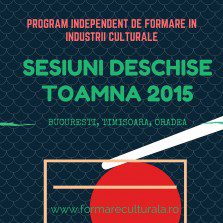Experiență formalizată: formare profesională în industrii culturale și creative Formare Culturală