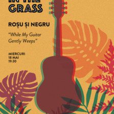 Jazz in the Grass 11