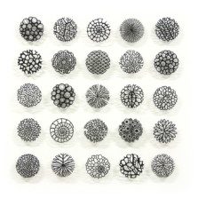 Broderiile lui Meredith Woolnough