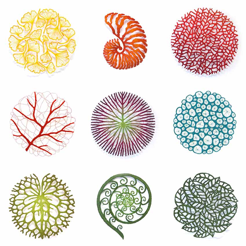 NATURE STUDIES - SMALL WORKS de Meredith Woolnough © meredithwoolnough.com