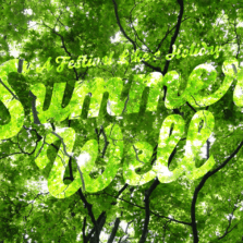 Summer Well- ediţia a VI-a