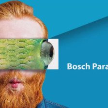 Jheronimus Bosch – Parada Bosch 2016