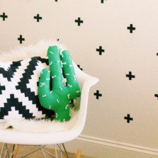 Un cadou deosebit – Proiectul Cactus