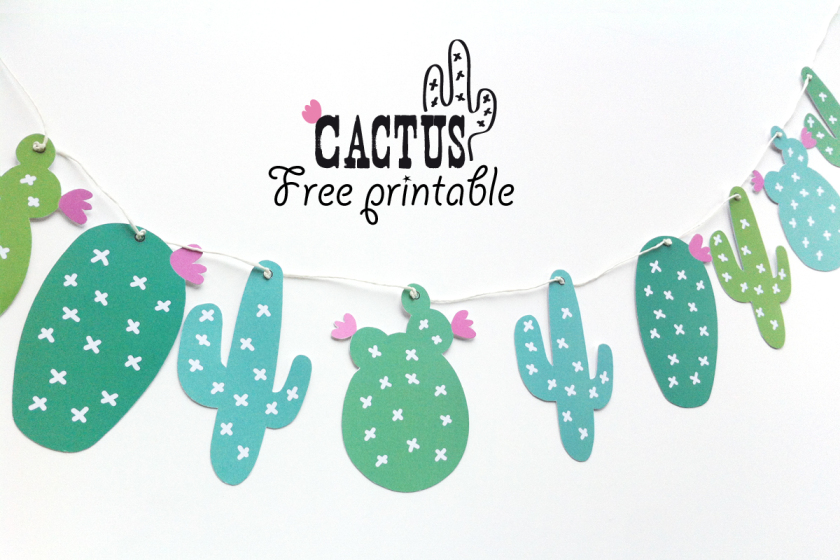 image-couv-cactus