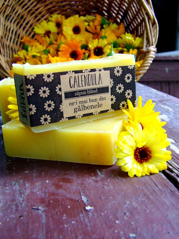calendula2014_ambalat