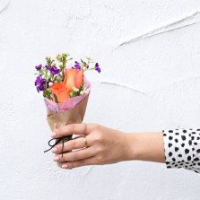 Atelierul recomandă (23 februarie-3 martie)