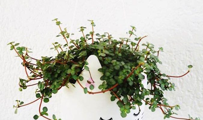 Atelierul recomandă (23-30 martie)