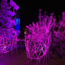 Câştigă 2 invitaţii duble la Bucharest Offline 0.2