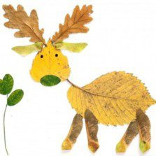 Atelierul recomandă – Inspiraţie de toamnă