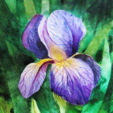 Tutorial de ilustrație florală
