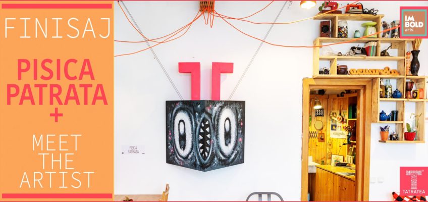 Finisaj Pisica Pătrată PLUS + meet the artist