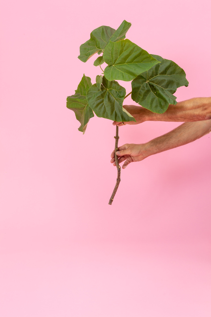 No Ordinary Home, Martino Gamper & Friends