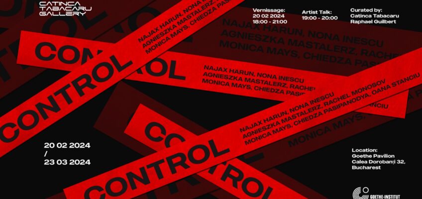 Control: Galeria Catinca Tăbăcaru