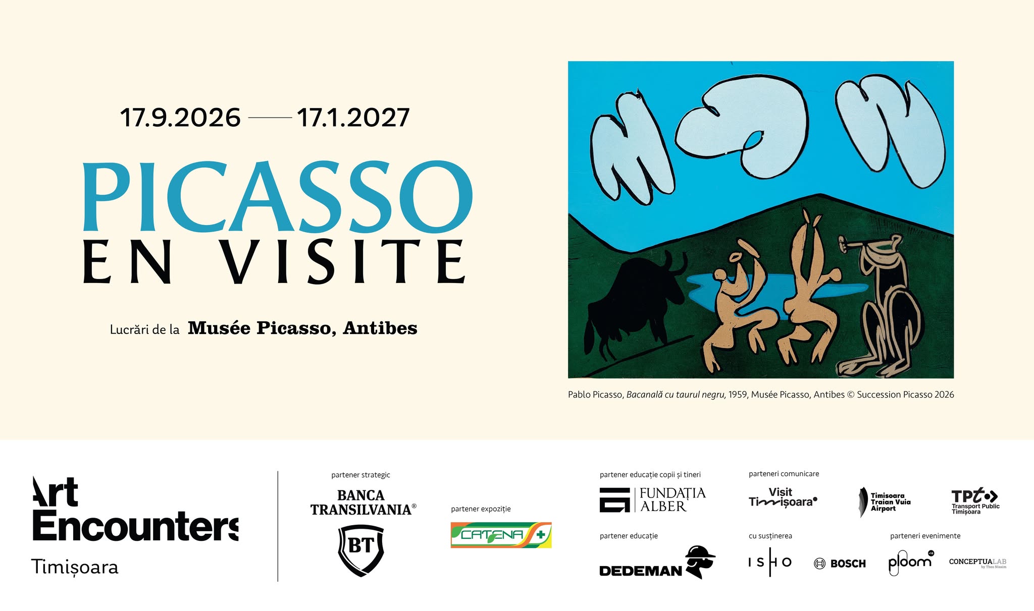 Picasso la Timișoara