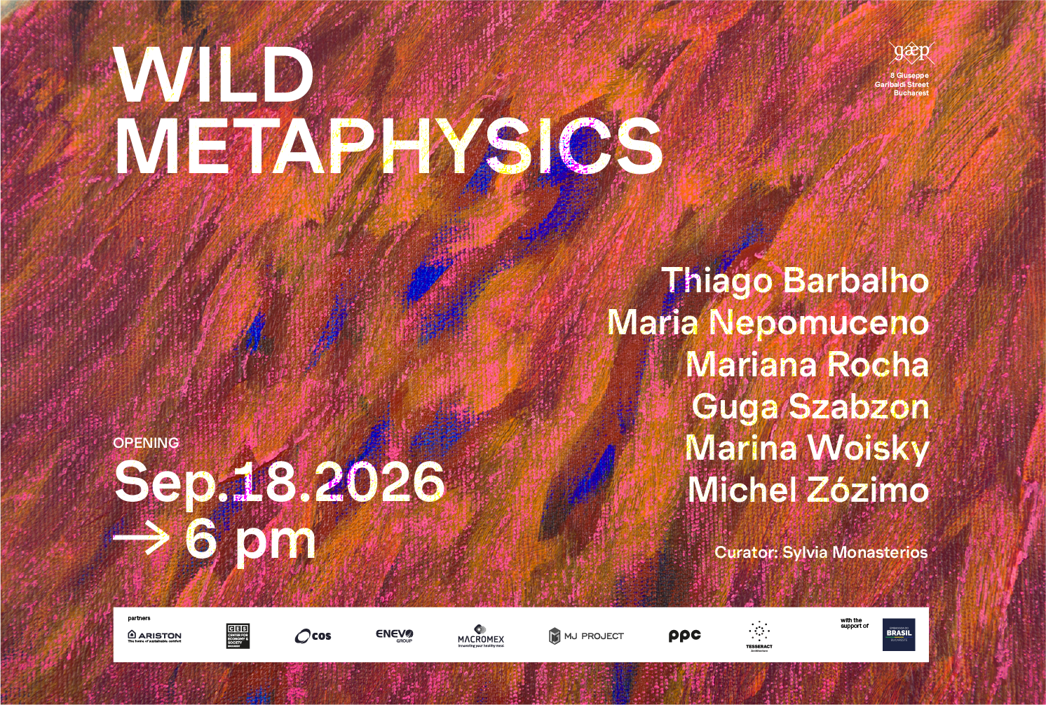 Gaep prezintă Wild Metaphysics